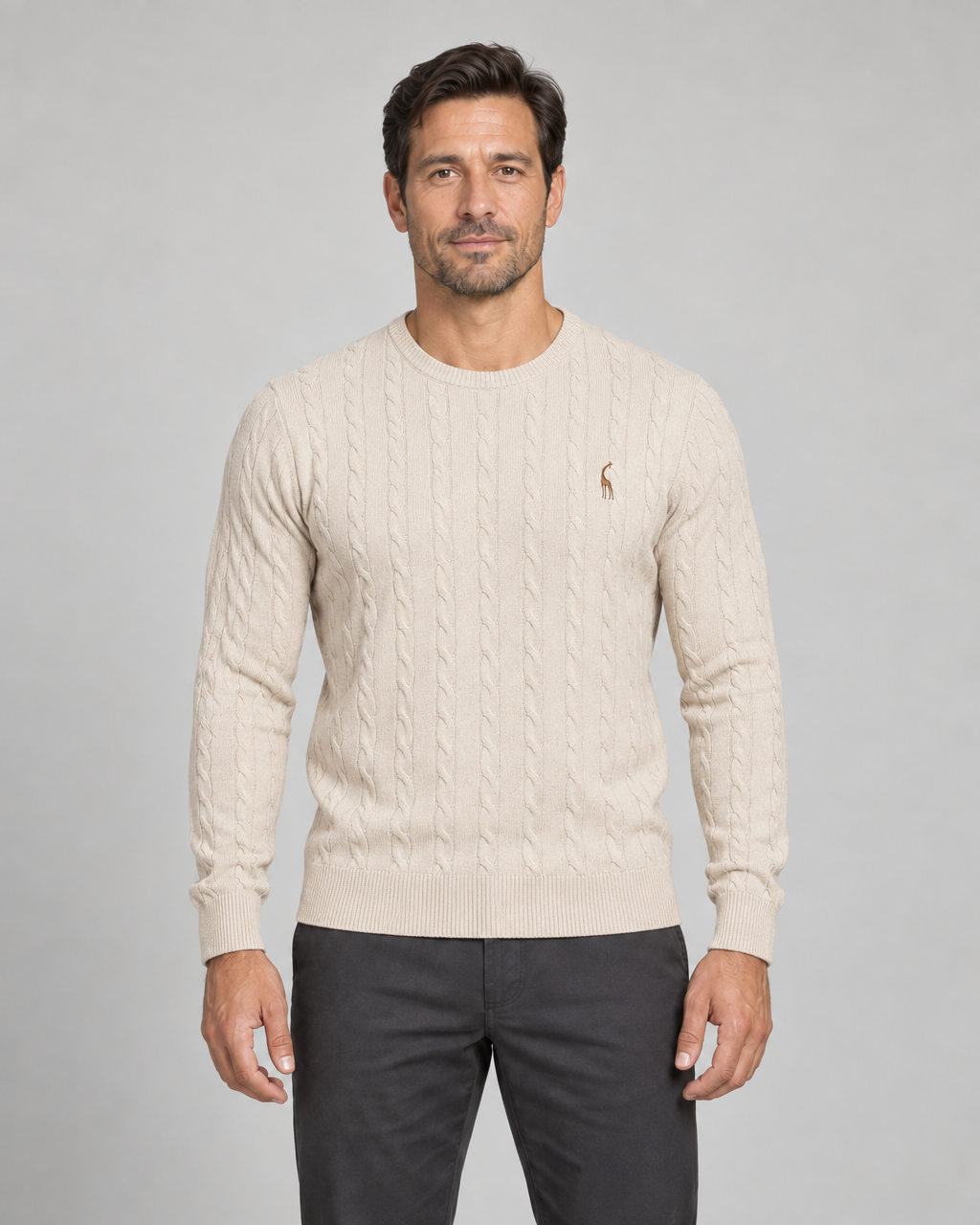 Pull beige clair à col rond et torsades, avec petit motif brun sur la poitrine, vue de face cadrée.