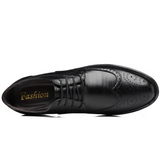 CELVOIR | CHAUSSURES OXFORD HOMMES