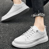 CELVOIR | BASKETS BASSES HOMME