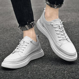 CELVOIR | BASKETS BASSES HOMME