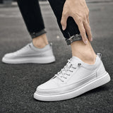 CELVOIR | BASKETS BASSES HOMME